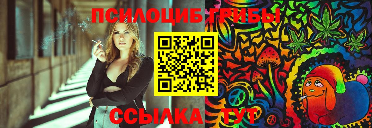 Галлюциногенные грибы Psilocybine cubensis  Вход с VPN  закладка  Похвистнево 